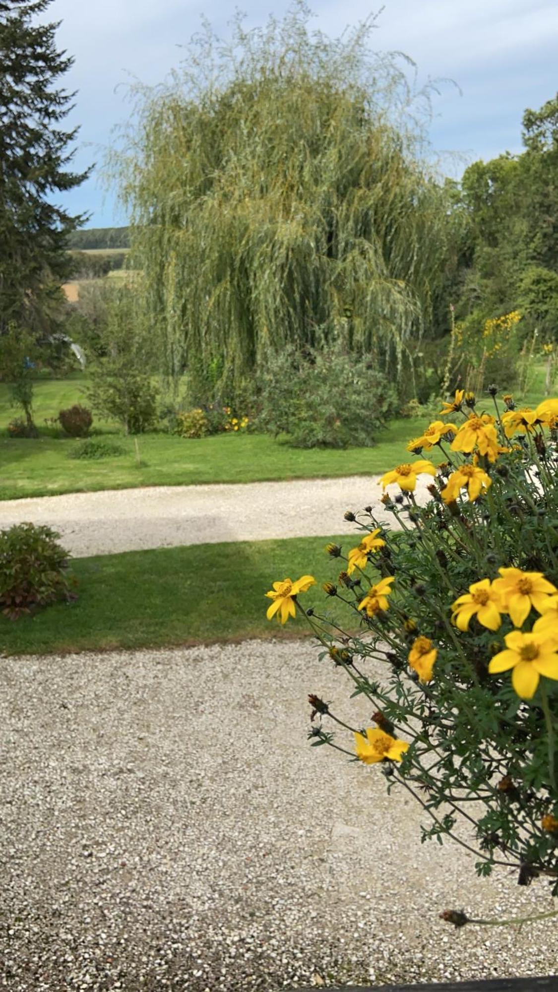 Pivoine Chambre D Hotes Fralignes Eksteriør billede