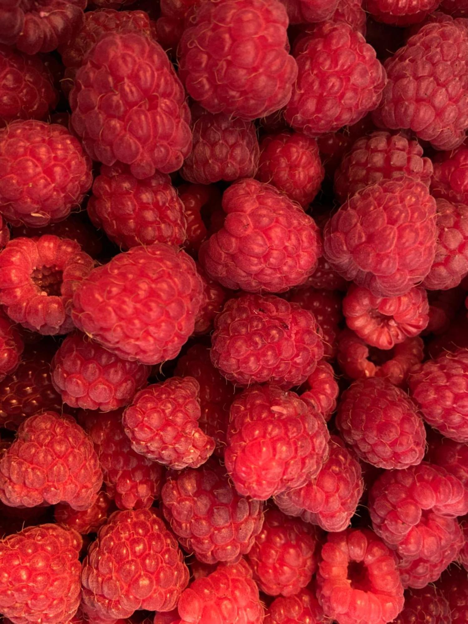 Pivoine Chambre D Hotes Fralignes Eksteriør billede
