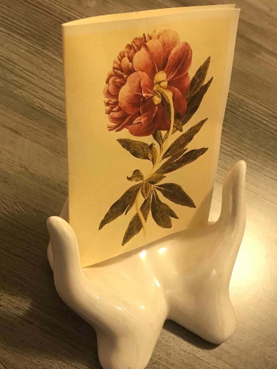 Pivoine Chambre D Hotes Fralignes Eksteriør billede